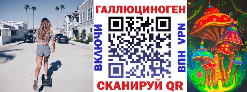 блэк спрут ссылки где продают наркотики Гатчина Псилоцибиновые грибы Psilocybe