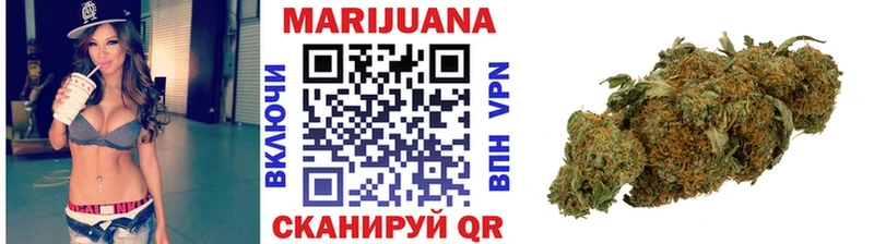 Шишки марихуана SATIVA & INDICA  omg tor  Гатчина 