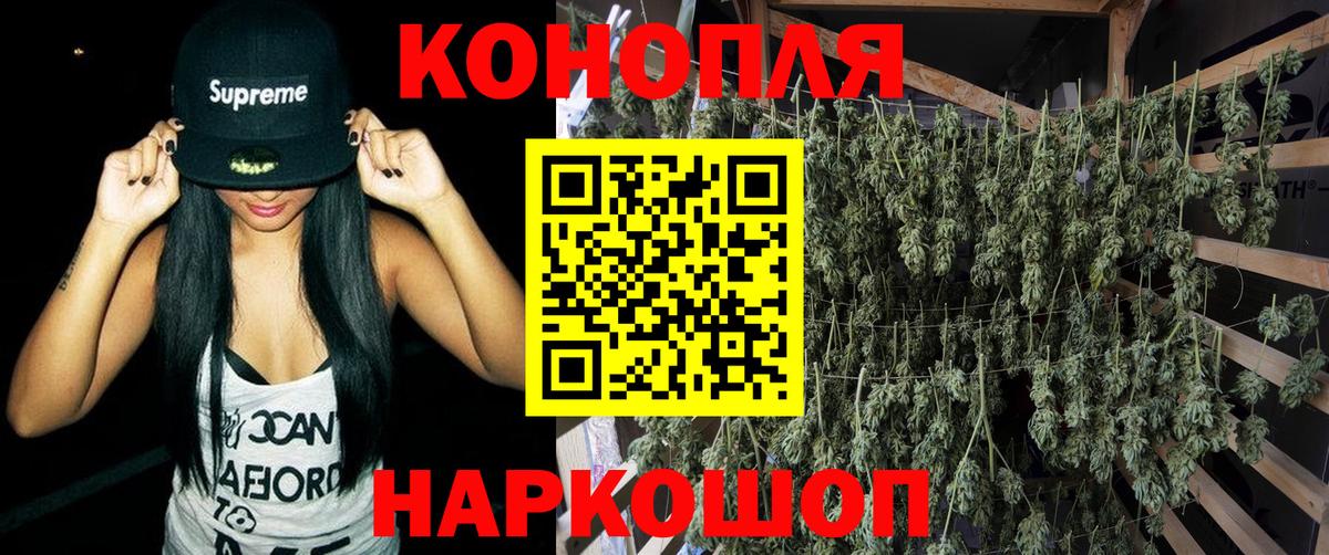 Канабис SATIVA & INDICA Гатчина